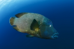 Embudu 2012-2013-26