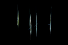 unbenannt-0325