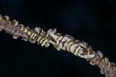 unbenannt-0422